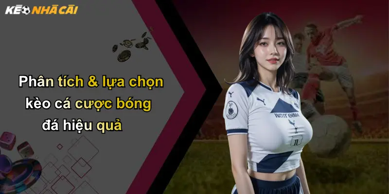 Phân tích & lựa chọn kèo cá cược bóng đá hiệu quả