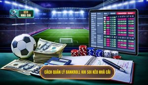 Cách quản lý bankroll khi soi kèo nhà cái