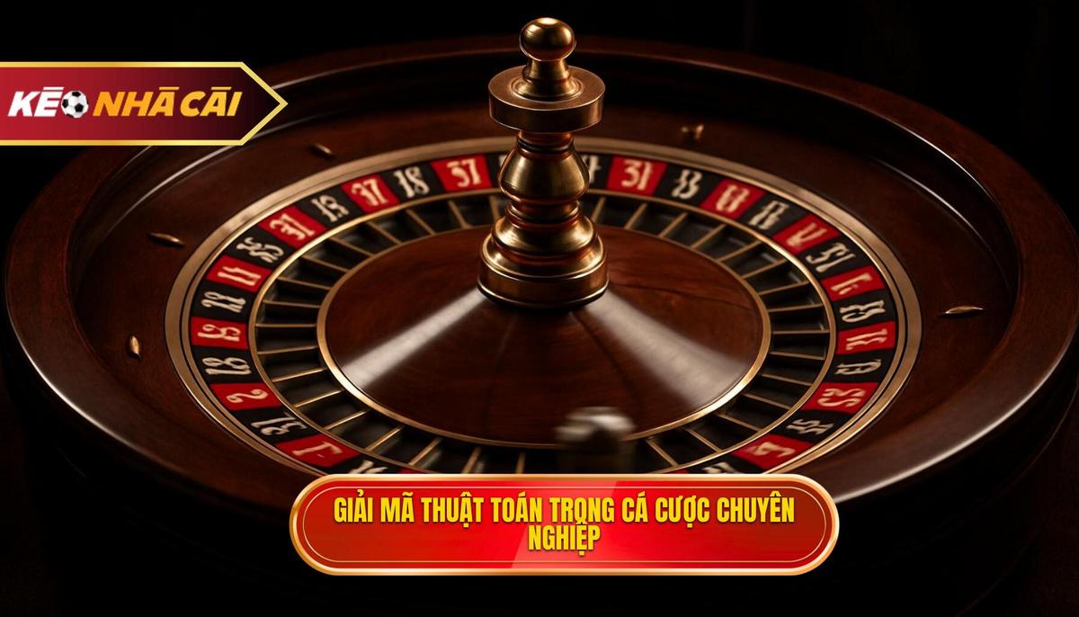 Giải mã thuật toán và triết lý của chuyên gia cá cược