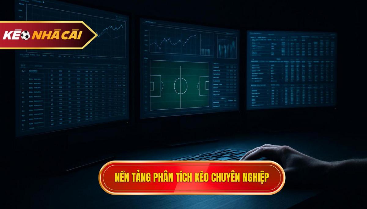 Nền Tảng Phân Tích Kèo Của Chuyên Gia