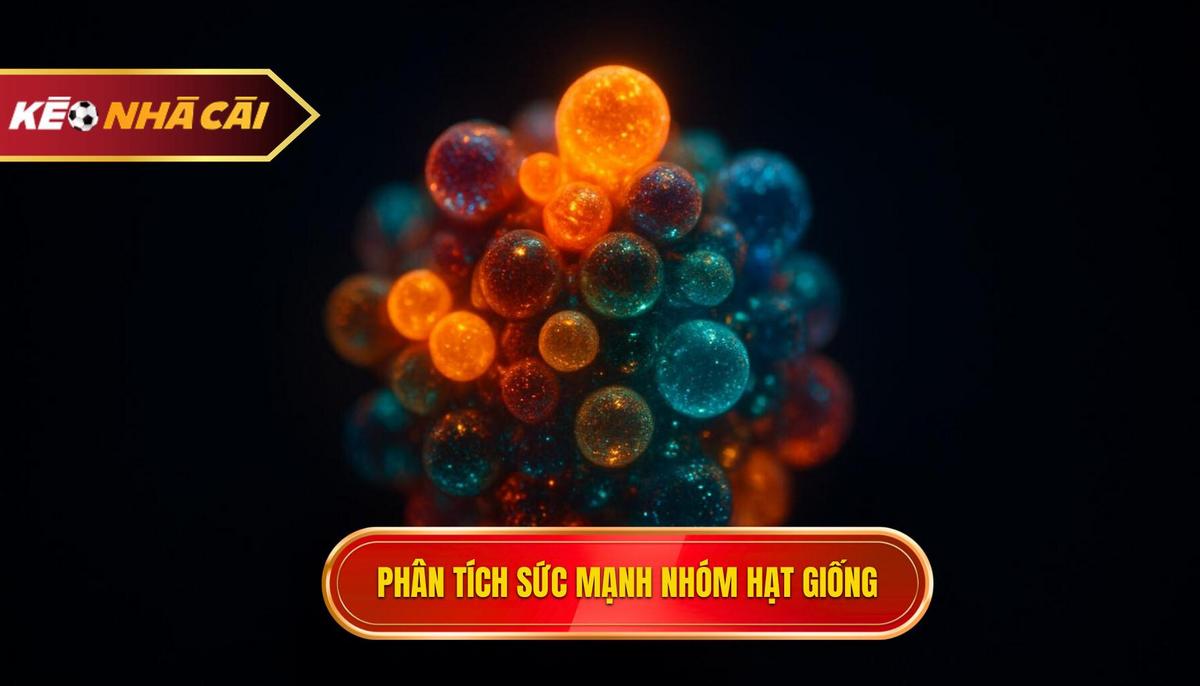 Phân tích sức mạnh các nhóm hạt giống hàng đầu