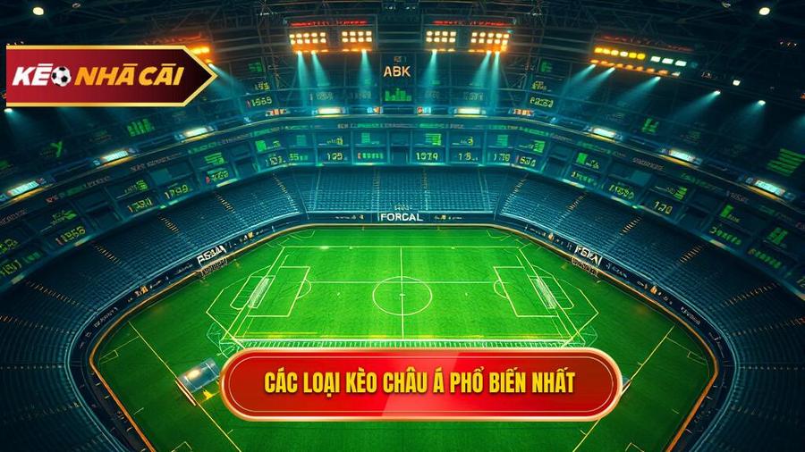 Các loại tỷ lệ kèo châu Á phổ biến nhất hiện nay