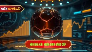 Nhận định kèo nhà cái hôm nay chi tiết - Soi kèo chuẩn xác 99%